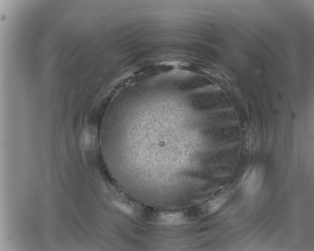 X0000062130283200512161200