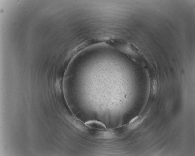 X0000062130286200512161200