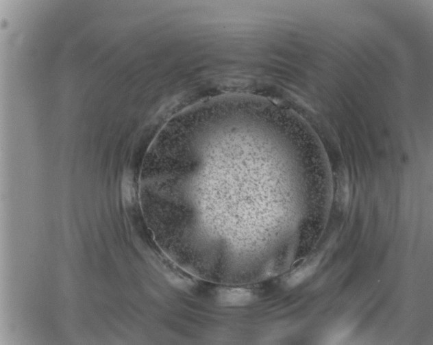 X0000062130287200512161200