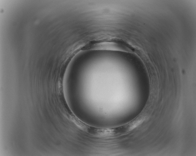 X0000062130288200512161200