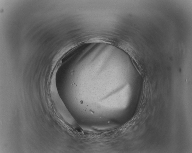 X0000062130289200512161159