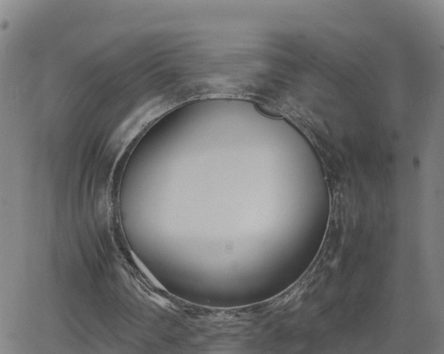 X0000062130290200512161159