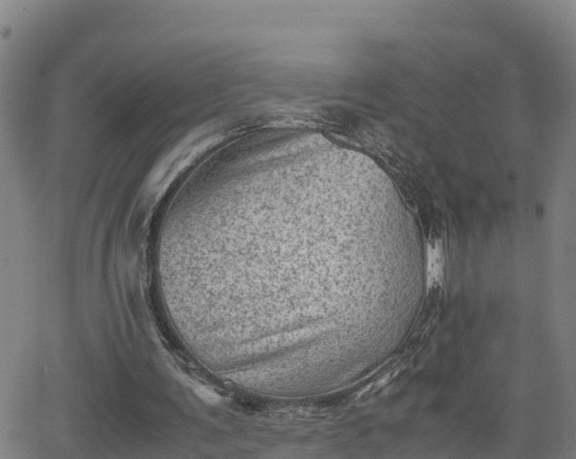 X0000062130291200512161159