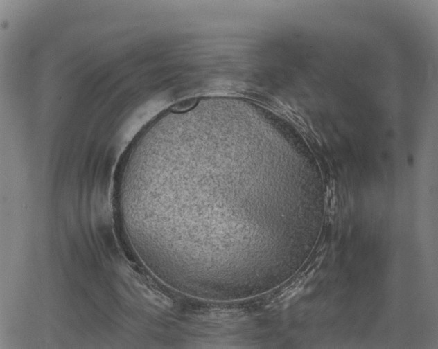 X0000062130292200512161159