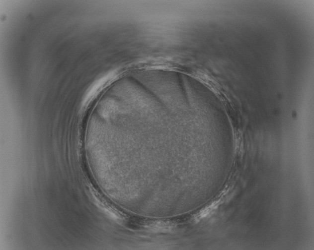 X0000062130293200512161159