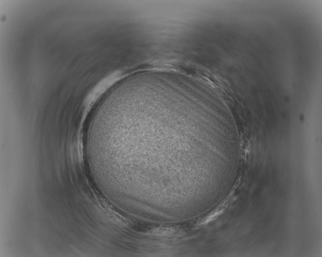 X0000062130294200512161159