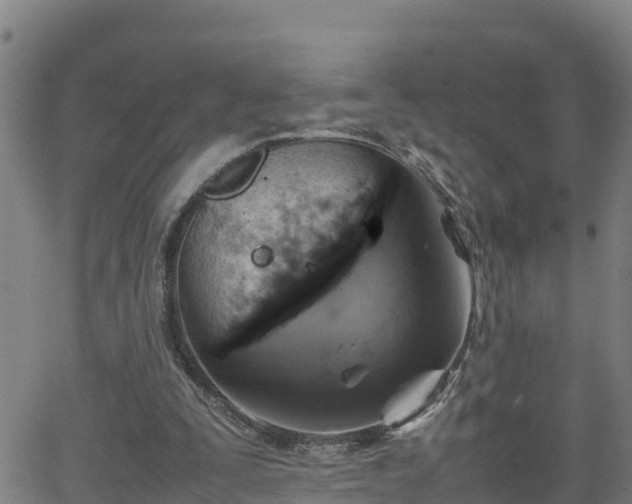 X0000062130295200512161159