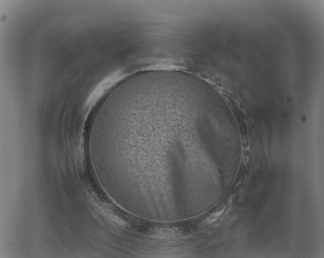 X0000062130296200512161159