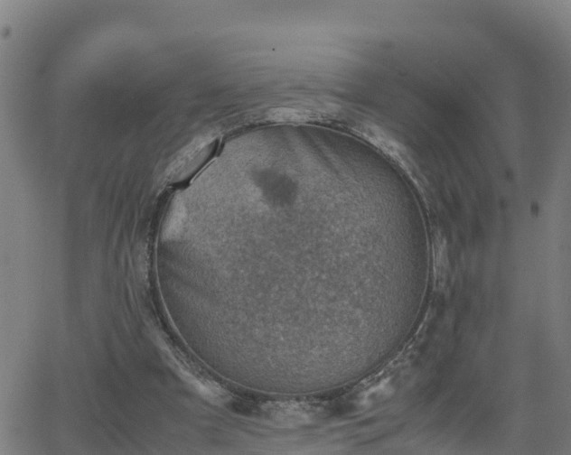 X0000062130297200512161159