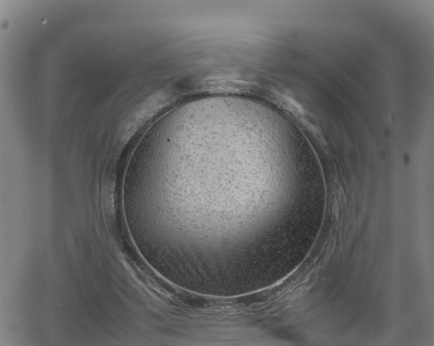 X0000062130299200512161159