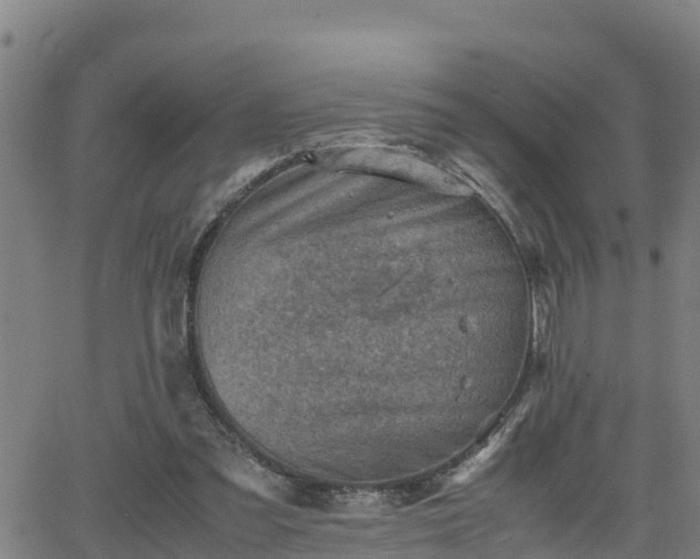 X0000062130301200512161159