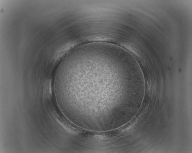 X0000062130302200512161159