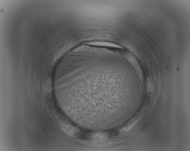 X0000062130303200512161159