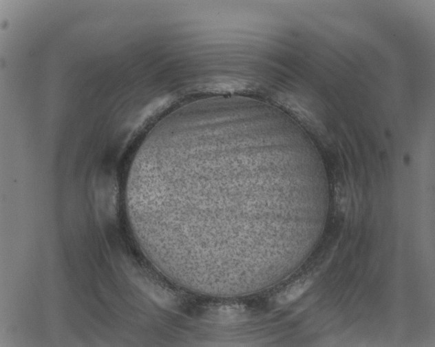 X0000062130304200512161159