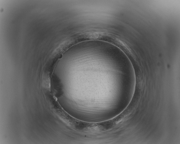 X0000062130307200512161159