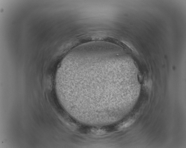 X0000062130311200512161159