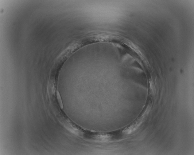 X0000062130313200512161159