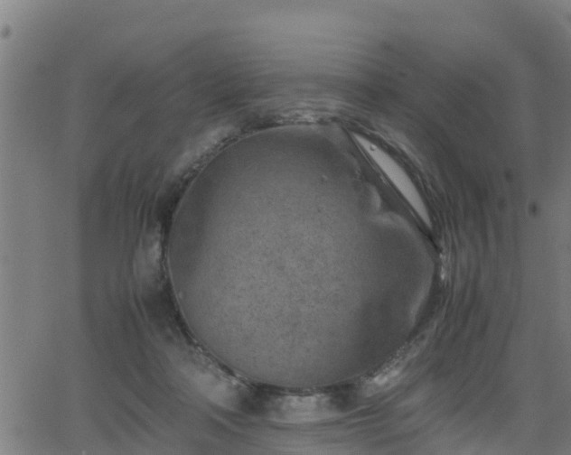 X0000062130314200512161159