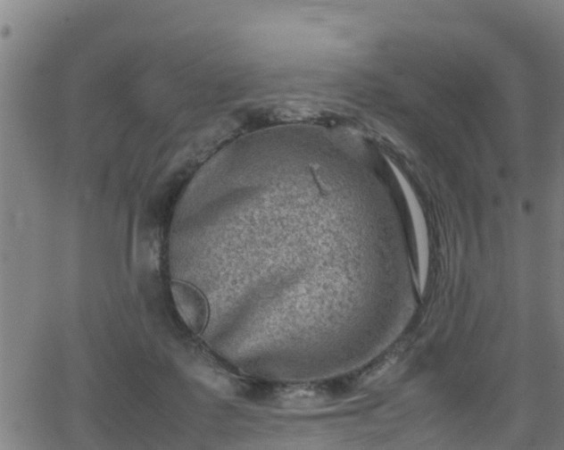 X0000062130315200512161159