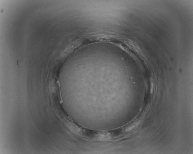 X0000062130317200512161159