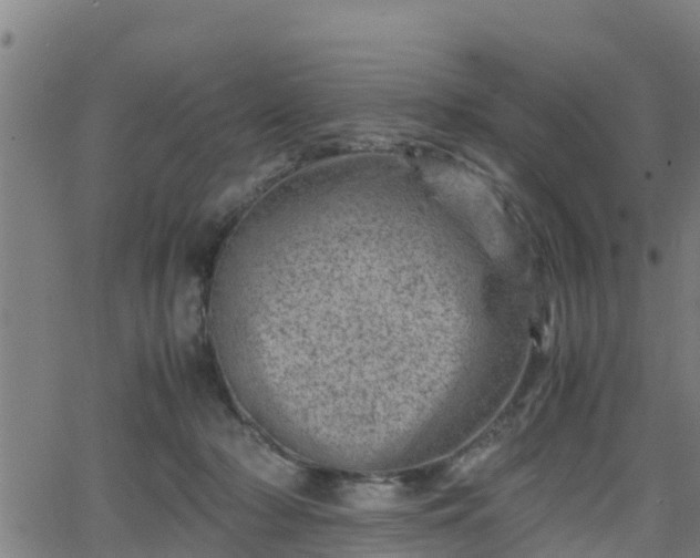 X0000062130318200512161159