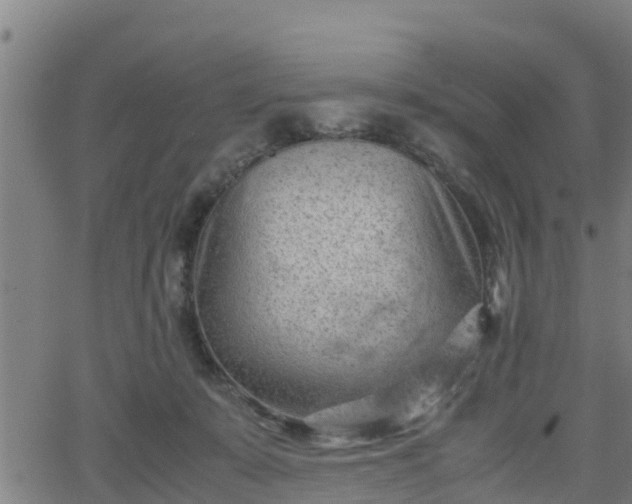 X0000062130319200512161159