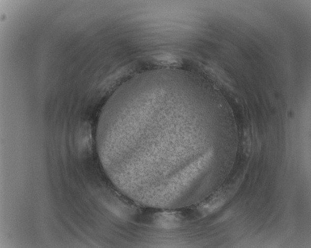 X0000062130320200512161159