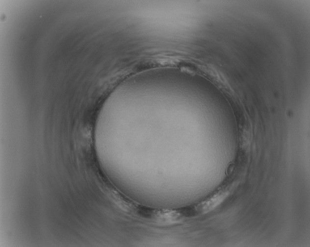 X0000062130321200512161159