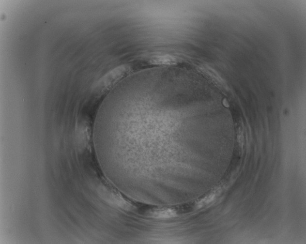 X0000062130322200512161158