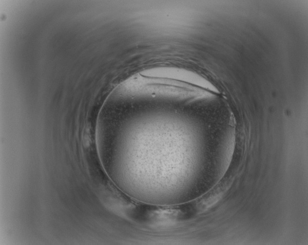 X0000062130323200512161158