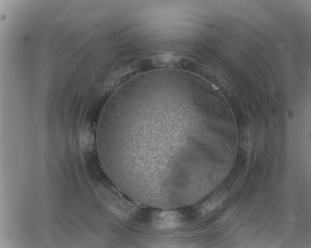 X0000062130324200512161158