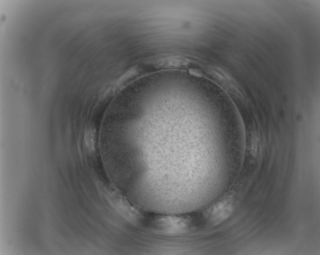 X0000062130326200512161158