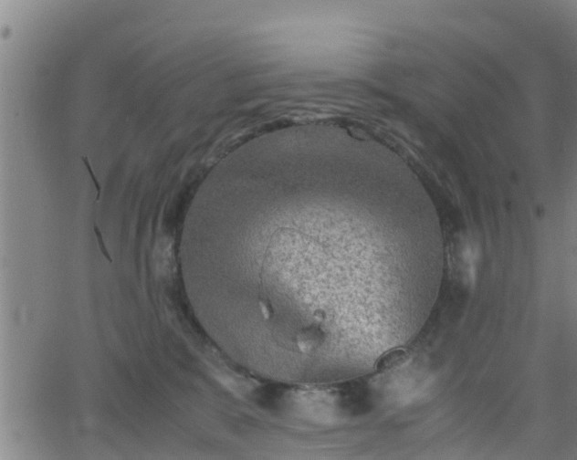 X0000062130327200512161158