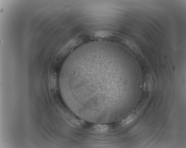 X0000062130328200512161158