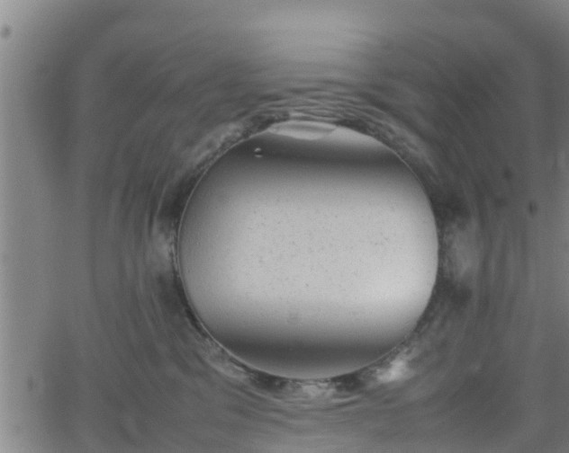 X0000062130329200512161158