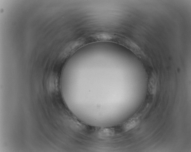 X0000062130330200512161158