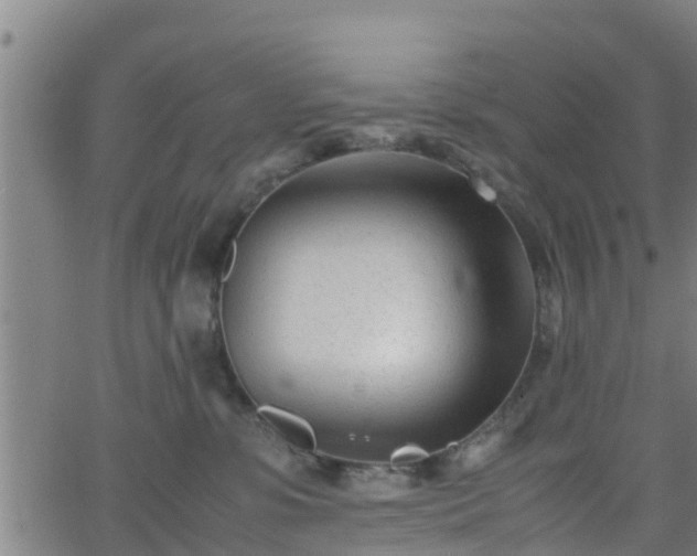 X0000062130331200512161158