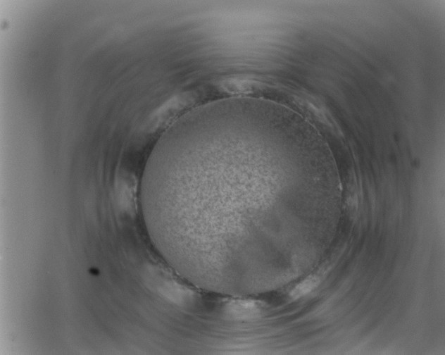 X0000062130332200512161158