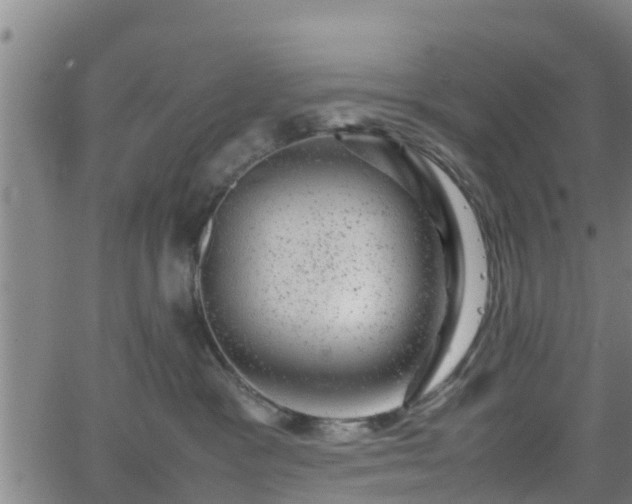 X0000062130333200512161158