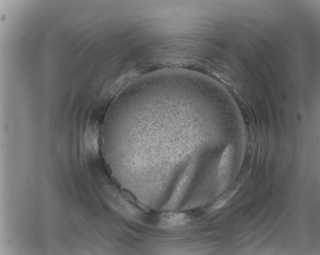 X0000062130334200512161158