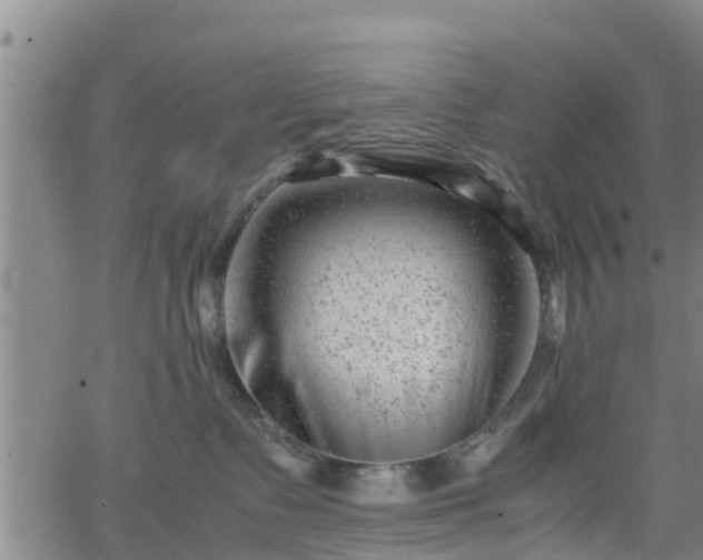 X0000062130335200512161158