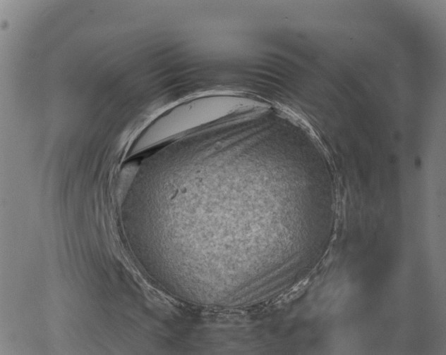 X0000062130337200512161157