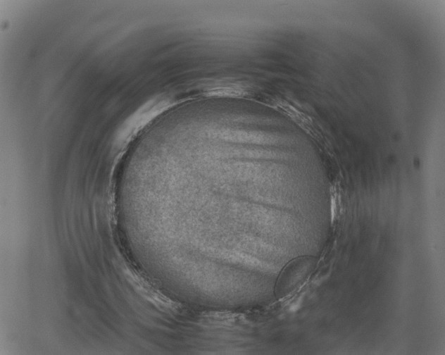 X0000062130339200512161158