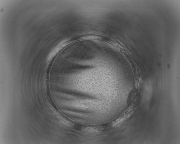 X0000062130341200512161158