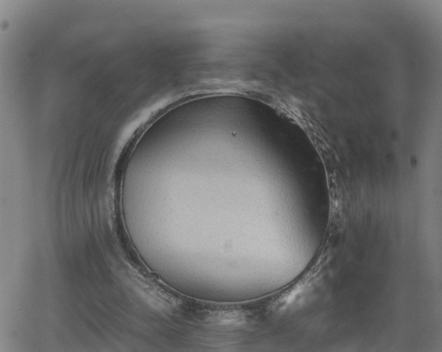 X0000062130342200512161158