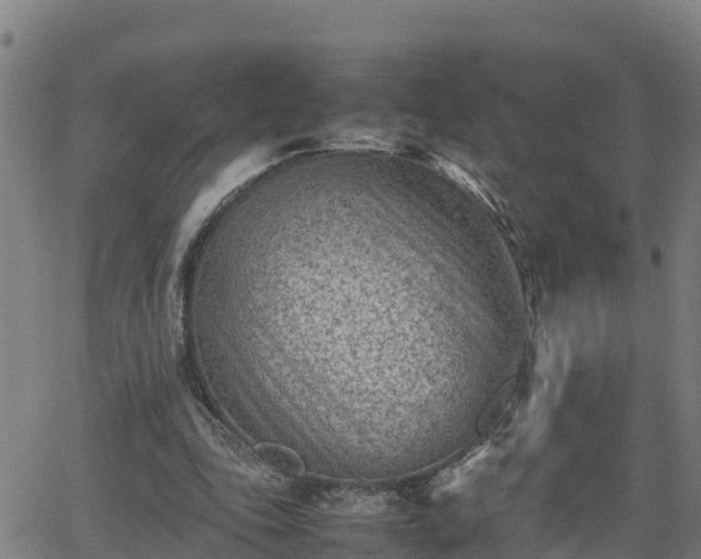 X0000062130343200512161158