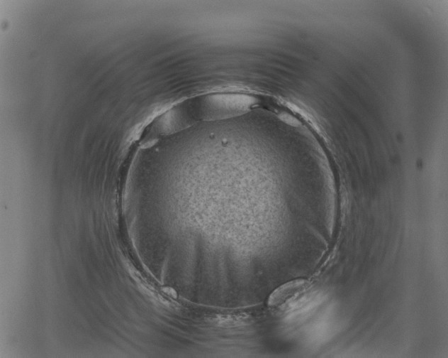 X0000062130345200512161158