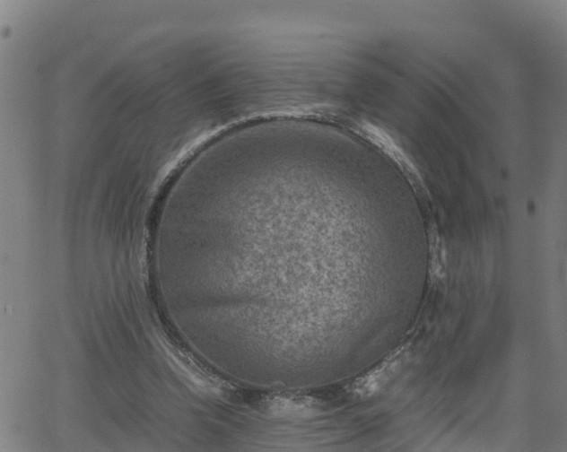 X0000062130346200512161158