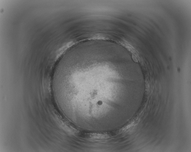 X0000062130347200512161158