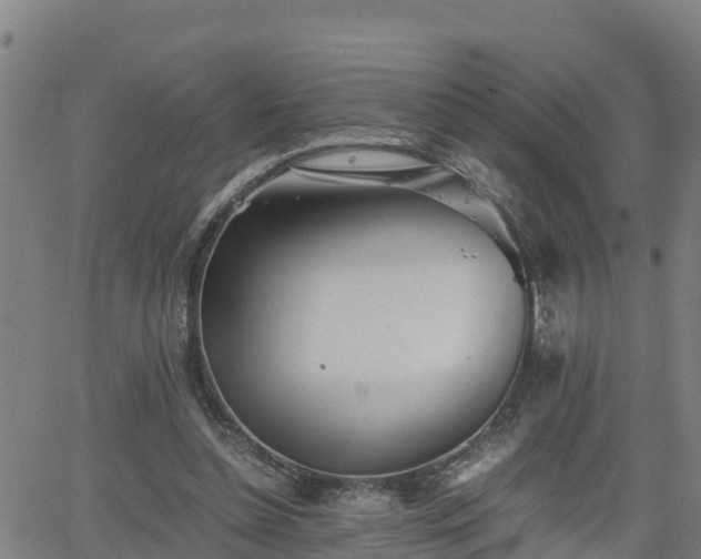 X0000062130348200512161158